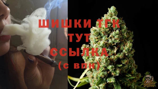 spice Белокуриха